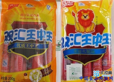 王中王鐵算一肖，揭秘生肖運勢與個性特征，揭秘生肖運勢與個性特征，王中王鐵算一肖解析