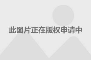 中國軍艦的種類與數(shù)量，全面解析中國海軍力量，全面解析中國海軍力量，軍艦種類與數(shù)量一覽