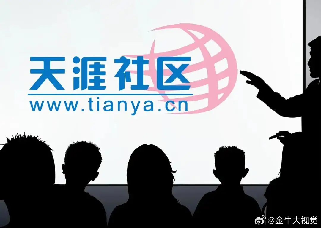 天涯論壇無法訪問問題解析及應(yīng)對方案，天涯論壇無法訪問問題解析與應(yīng)對方案攻略