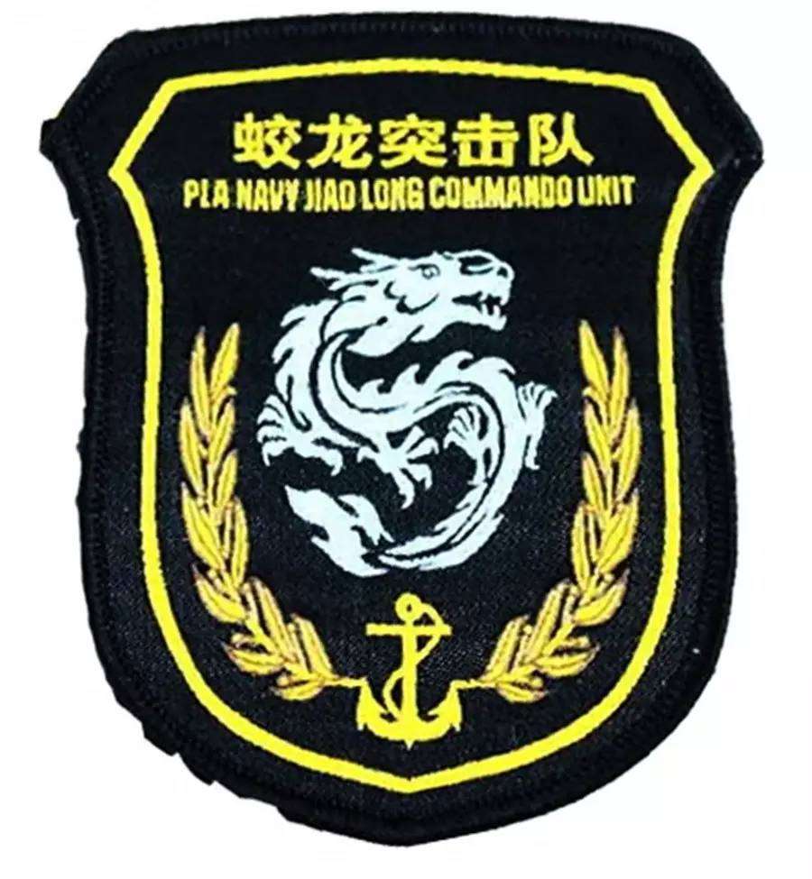 蛟龍突擊隊(duì)盾形金屬徽章，象征榮耀與力量的完美結(jié)合，蛟龍突擊隊(duì)盾形金屬徽章，榮耀與力量的象征