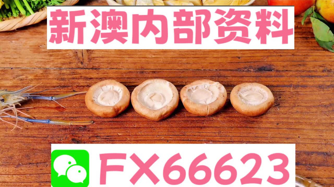 探索與獲取指南