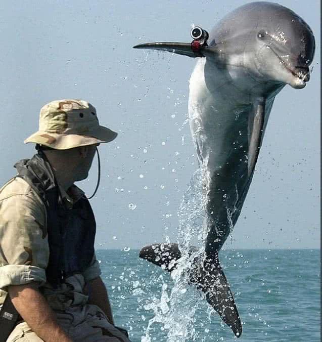 中國獵掃雷艦，探索海域安全的先鋒力量，中國獵掃雷艦，海域安全先鋒力量探索之旅