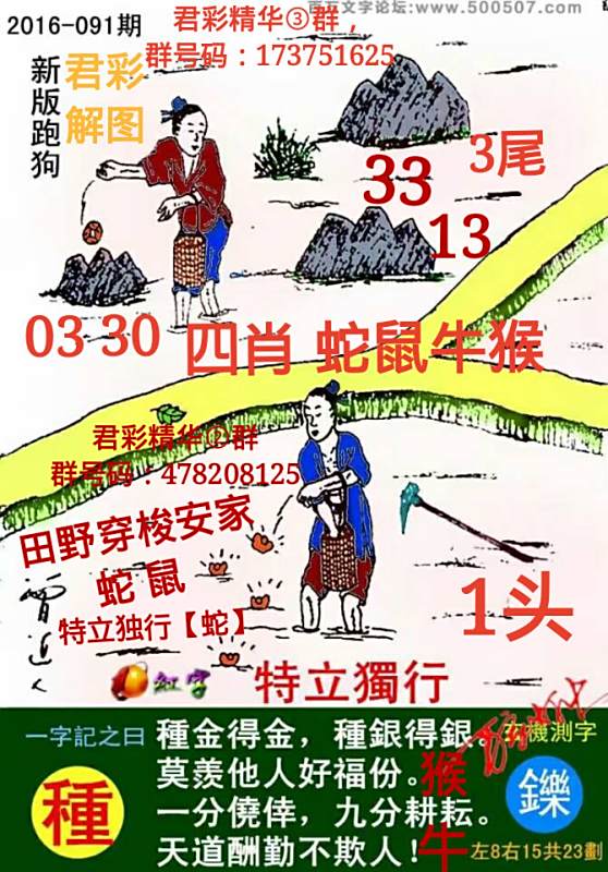 探索精準(zhǔn)跑狗圖，揭秘7777788888跑狗圖的秘密，揭秘跑狗圖精準(zhǔn)預(yù)測(cè)，探索7777788888跑狗圖的秘密