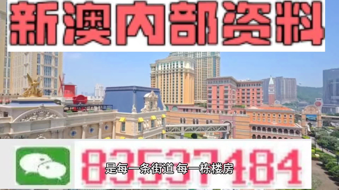 新澳門(mén)免費(fèi)精準(zhǔn)正版資料，探索與解析，澳門(mén)正版資料解析，探索精準(zhǔn)免費(fèi)信息