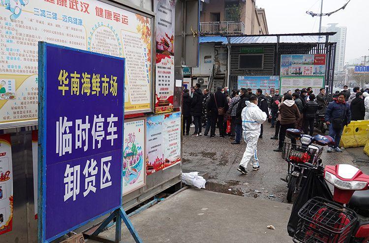 武漢華南海鮮市場(chǎng)，繁榮背后的探索與挑戰(zhàn)，武漢華南海鮮市場(chǎng)，繁榮背后的探索與挑戰(zhàn)之旅