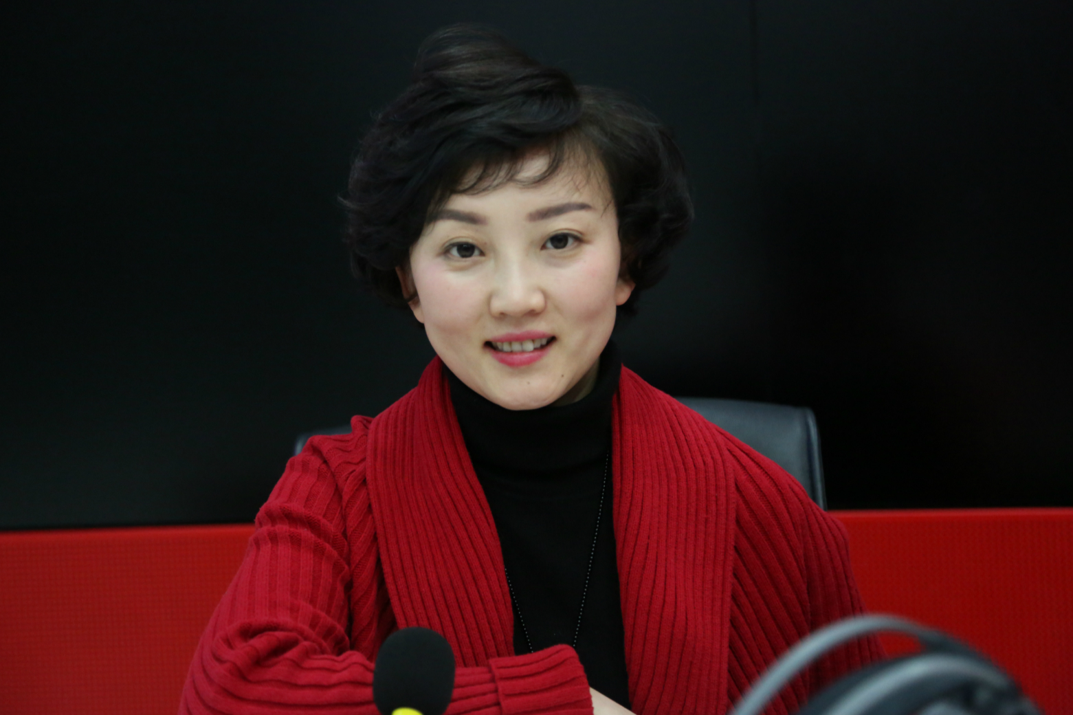 演員丁曉君個人資料，深度解析其生平、事業(yè)與成就，丁曉君，生平、事業(yè)與成就深度解析