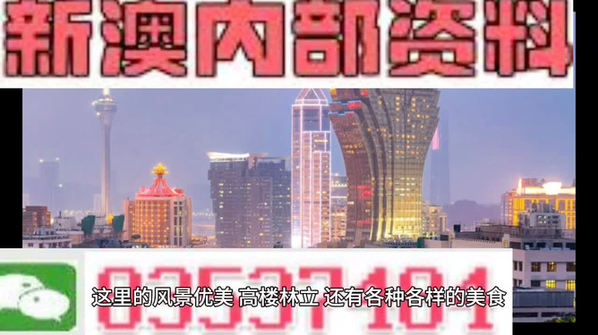 澳門正版免費資料，助力彩民走向成功之路——探尋未來的精準預測與機遇，澳門正版免費資料助力彩民走向成功之路，精準預測與未來機遇探索