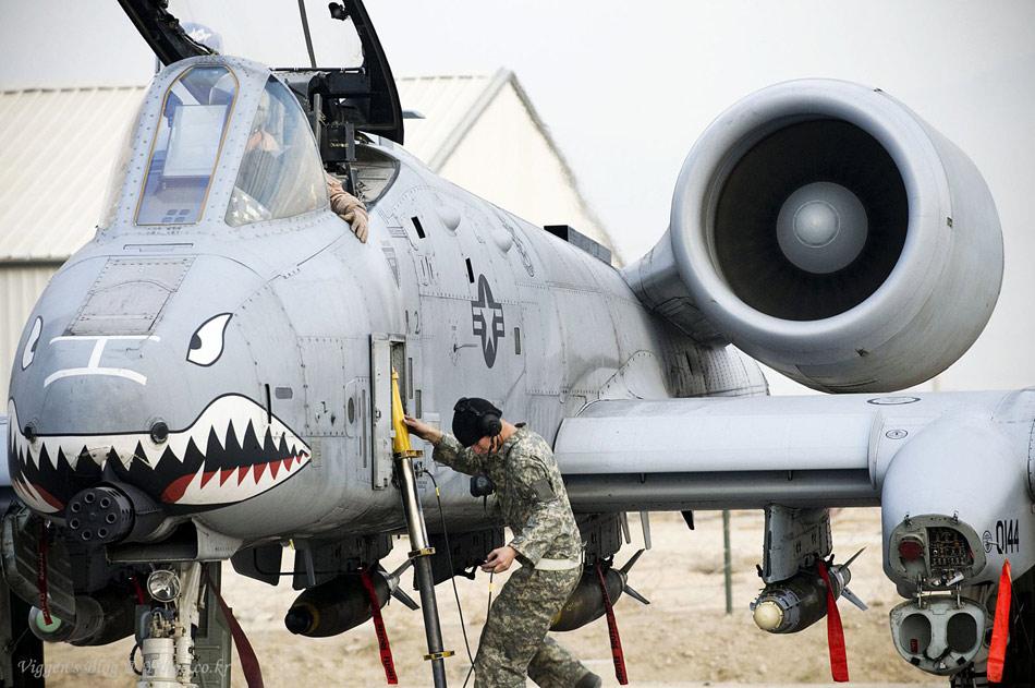 揭秘A-10攻擊機的武器配備，強大的空中力量展現(xiàn)，揭秘A-10攻擊機的武器配備，強大的空中戰(zhàn)斗力展示